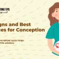 Understanding Your Ovulation Cycle: Key Signs and Best Practices for Conception